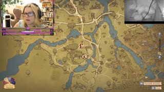Chicken Live Stream