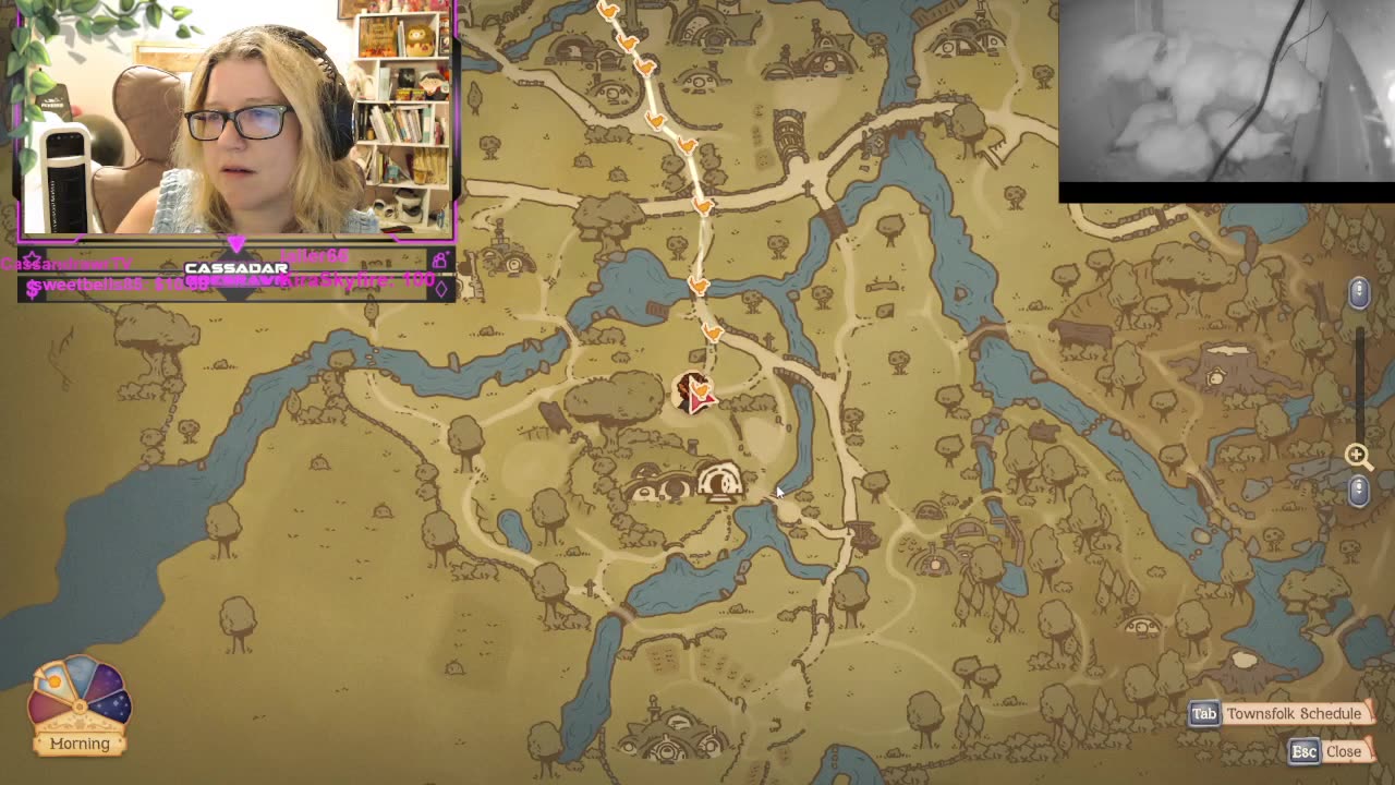 Chicken Live Stream
