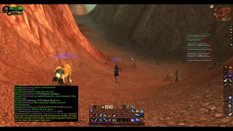 Turtle wow - Melee HC Slow and Steady Hunter - Part 40 - No commentary