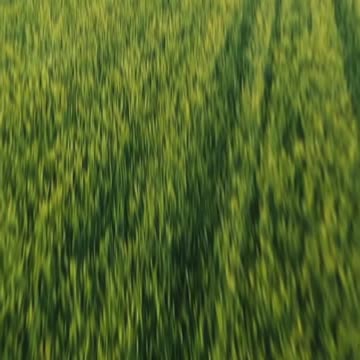 How Smart Farmers Double Their Soil Health #farming #tips #agriculture