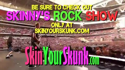 SkinyourSkunk.com Guitar Skins