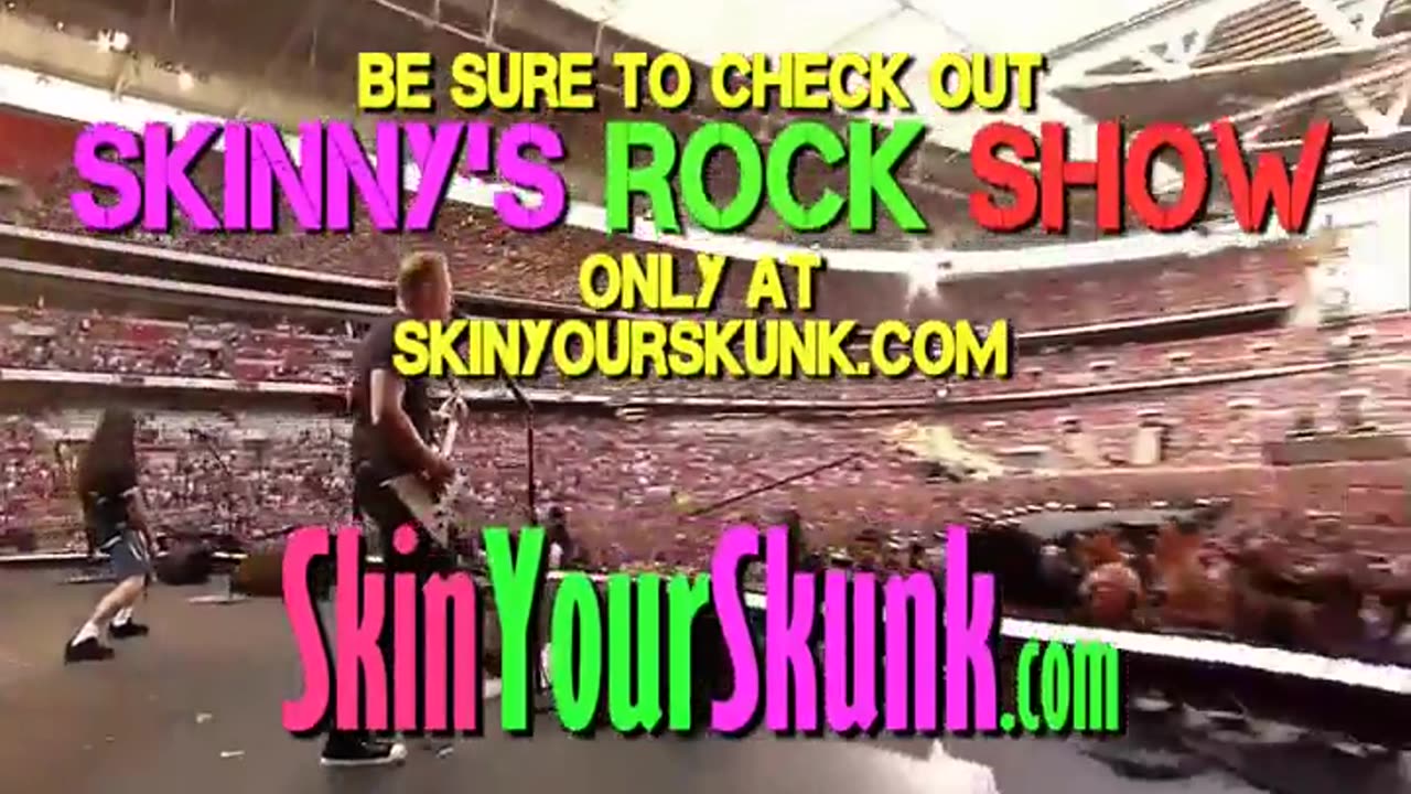 SkinyourSkunk.com Guitar Skins