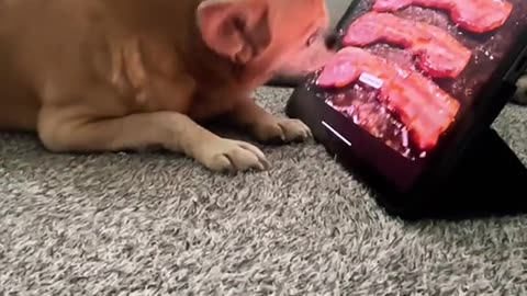 I'm so hungry 🤣🤣🤣🤣🤣