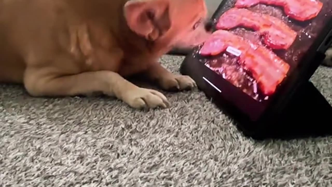 I'm so hungry 🤣🤣🤣🤣🤣