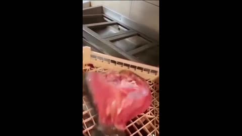 Daddy Goat 24/7 - Out Of Context Memes & Videos