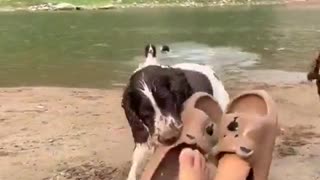 🤪🤪 The Most Epic Slipper Fail Ever | FunFM