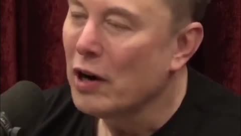 Elon Musk Warns of Orc Like Dangers Invading Hobbit England on JRE