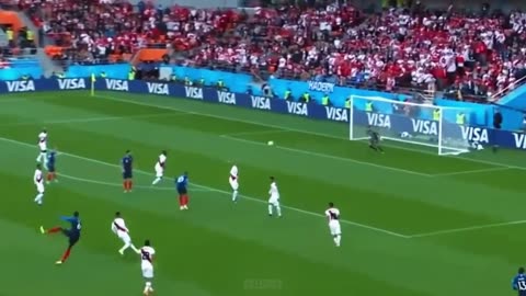 Paul Pogba at the 2018 World Cup with France