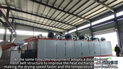 Mesh belt dryer