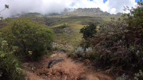 From the Hut to the Stream - Mulanje Hiking