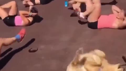 when you turn to an exercise class and have no idea what you're doing. 🐶🥰