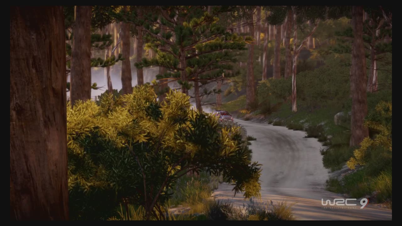 WRC9 (Ps5) Race19