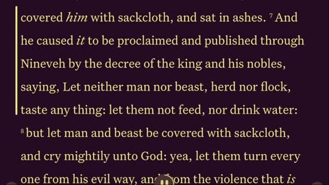 BOOK OF JONAH AUTO BIBLE