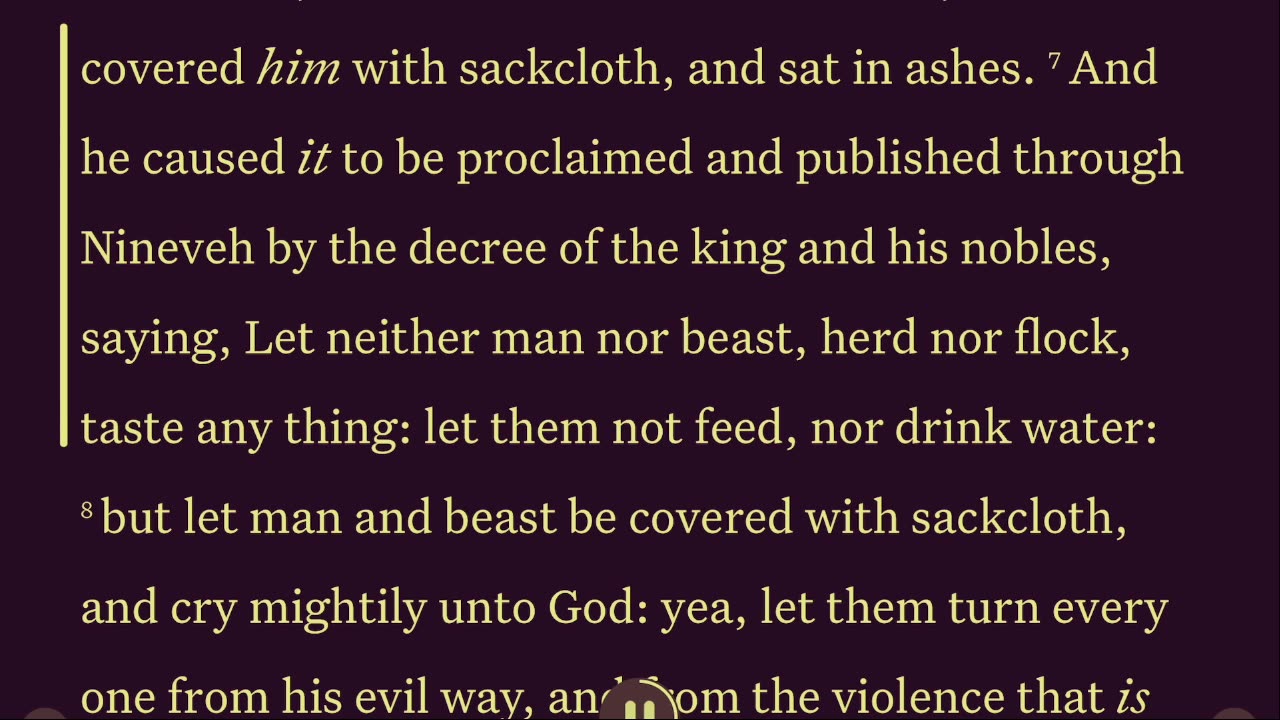 BOOK OF JONAH AUTO BIBLE