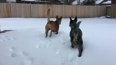 first time seeing snow