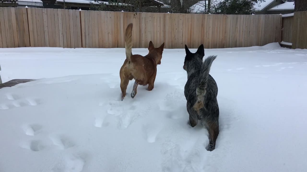first time seeing snow