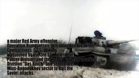 5th SS Panzer Division Wiking