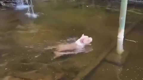 Spot The Moment He Realized