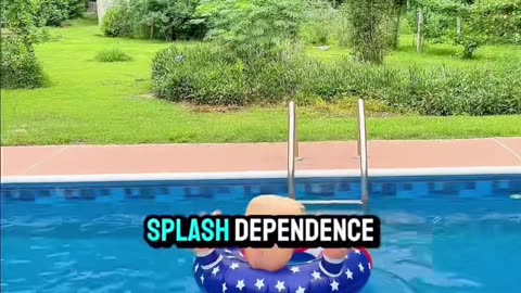 Introducing the Donald Trump Thumbs Up Pool