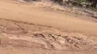 😂🏃 You Won't Believe This Epic Escape Attempt! | FunFM