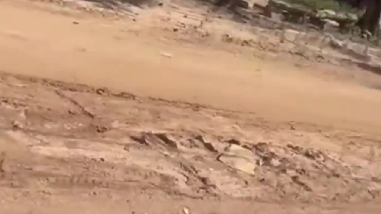 😂🏃 You Won't Believe This Epic Escape Attempt! | FunFM