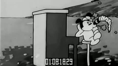 Woody Woodpecker and Friends - 1929x01 - Race Riot