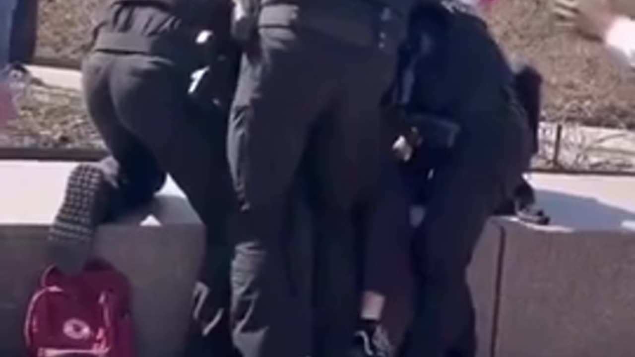 Police Arrest University of Cincinnati Student for Waving Palest