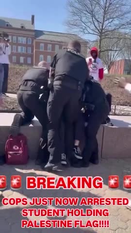Police Arrest University of Cincinnati Student for Waving Palest