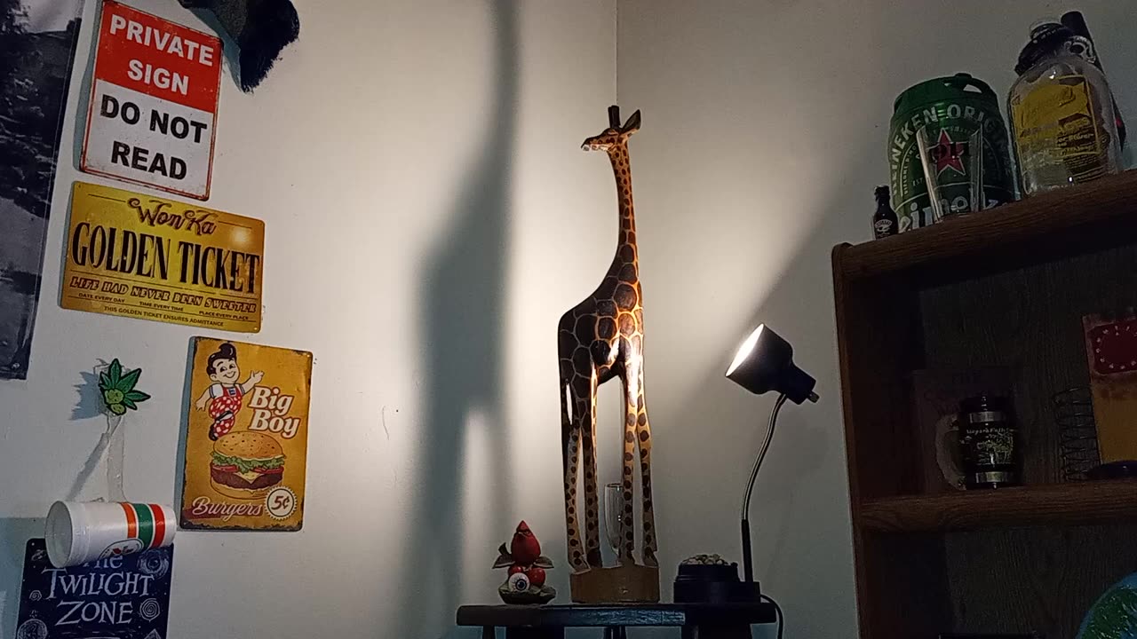 THIS IS MY PET GIRAFFE