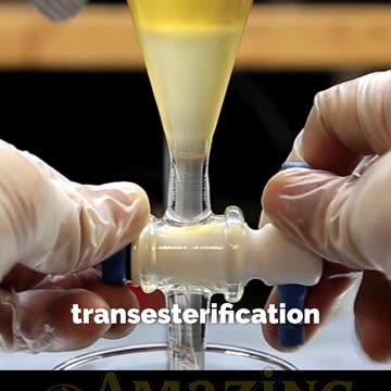 From Cooking Oil to Sweet Chemistry 💧 #science #chemistry