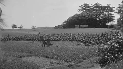 ACTIVITIES OF THE 77TH DIV IN WORLD W... - ACTIVITIES OF THE 77TH DIV IN WORLD WAR II - 111-adc-7316