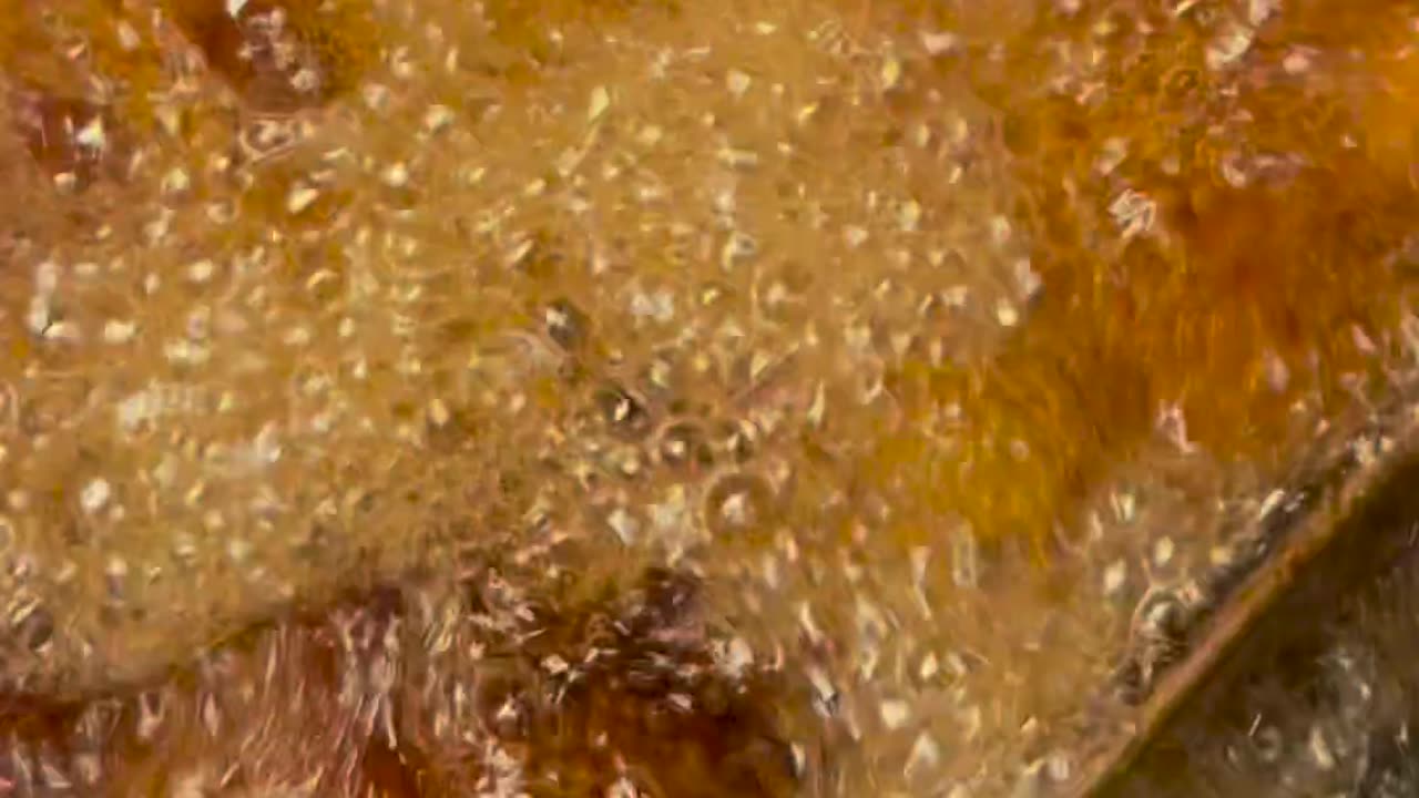 funnyvideosdaily