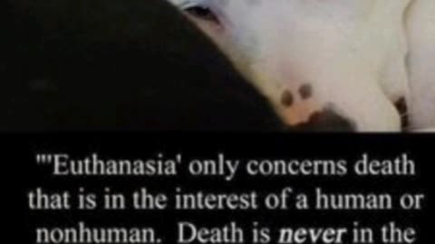 🔺Death is NEVER in the interest of a healty animal !