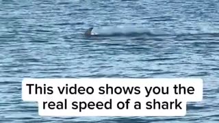 So Fast