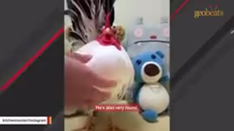 Funny