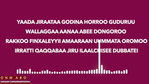 Qophii Addaa ONM-ABO Hagayya 30-2025 itti dhiyaadhaa!