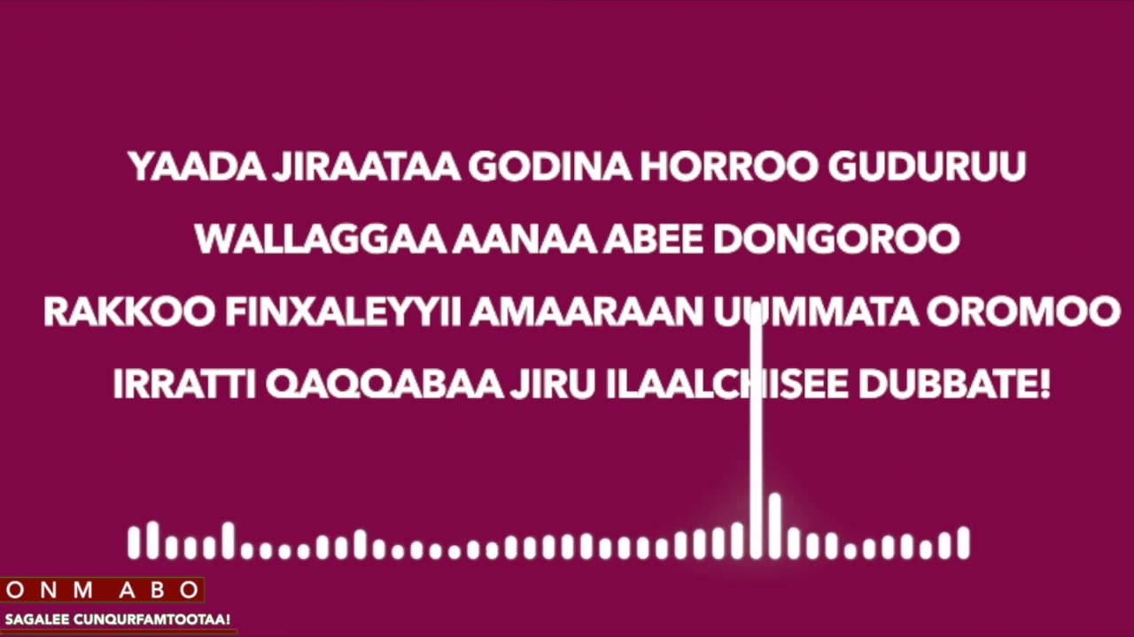 Qophii Addaa ONM-ABO Hagayya 30-2025 itti dhiyaadhaa!