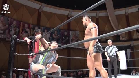 DDT Tropical Naniwan Summer 7-19-2025