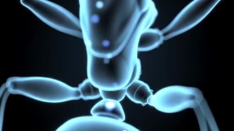 How Ants Breathe!? 🐜
