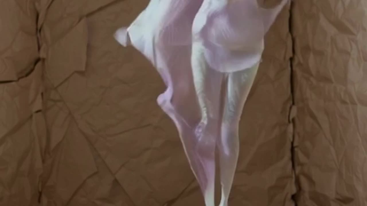 Uciekaj od światła.