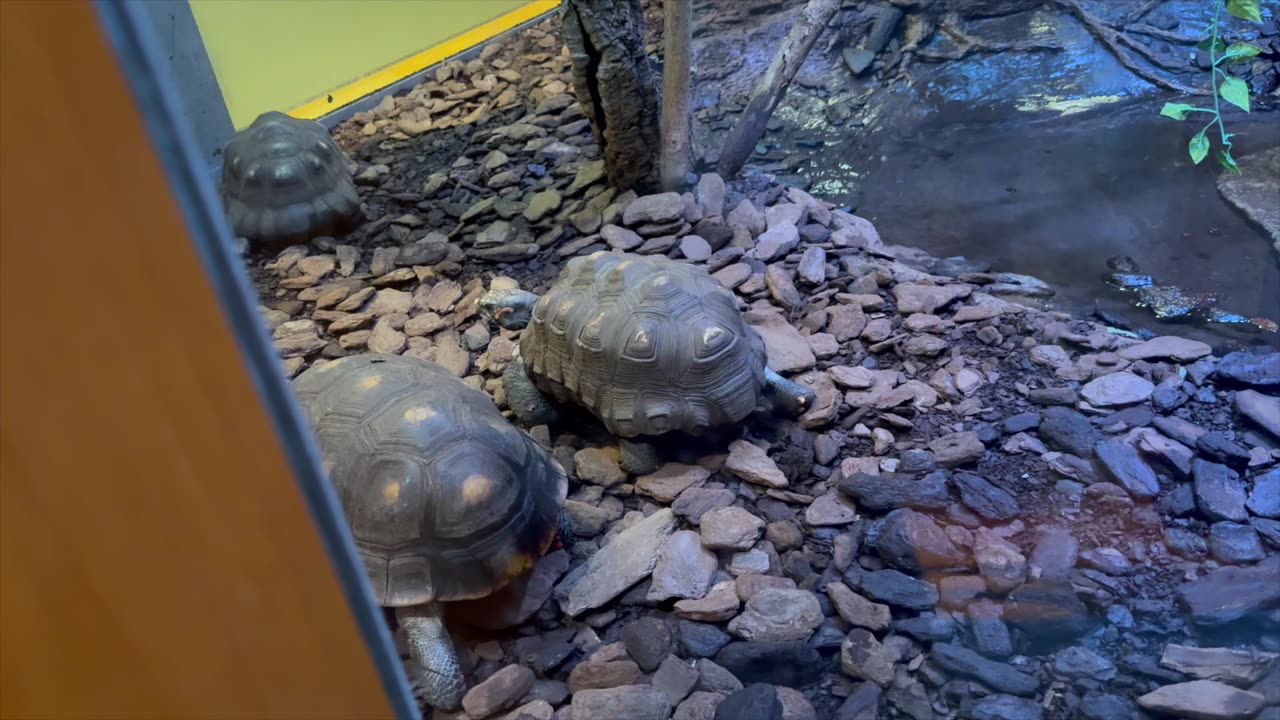 #LibertyScienceCenter 11-30-25