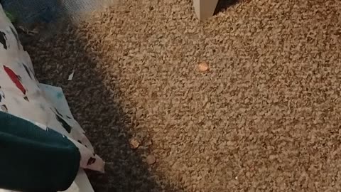 Jesus hates the lukewarm and will leave them behind