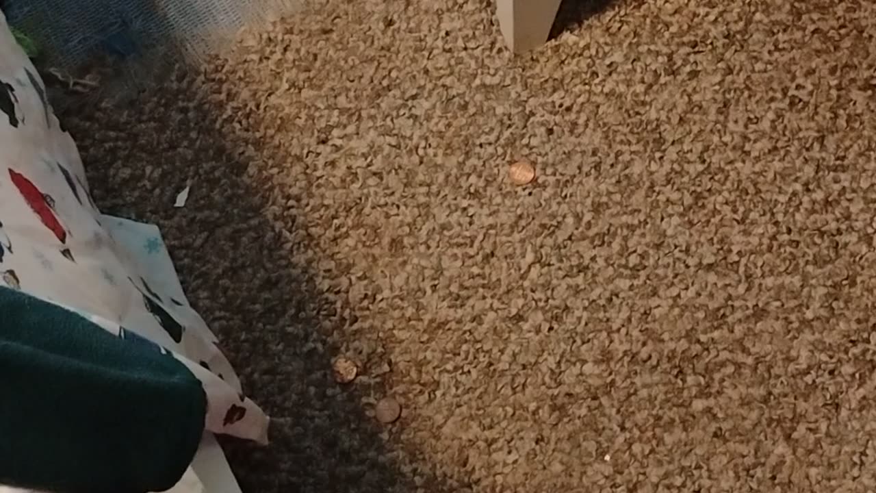 Jesus hates the lukewarm and will leave them behind