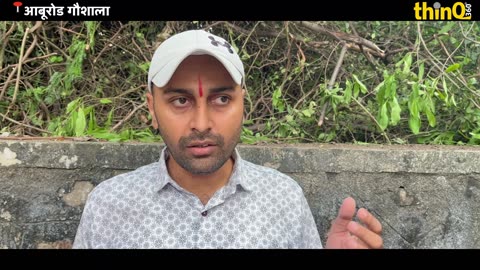 आबूरोड गौशाला घोटाला? 1206 दर्ज, मिले सिर्फ 792 गायें ! | Sirohi | Aburoad | thinQ360