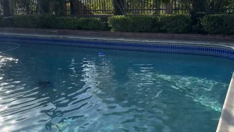 😨👻 Unsettling Discovery During Pool Business B-Roll | TheHauntingHour