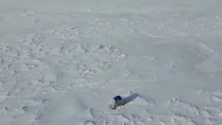 Frozen Lake Erie in Canada transforms into a snowy desert of ice