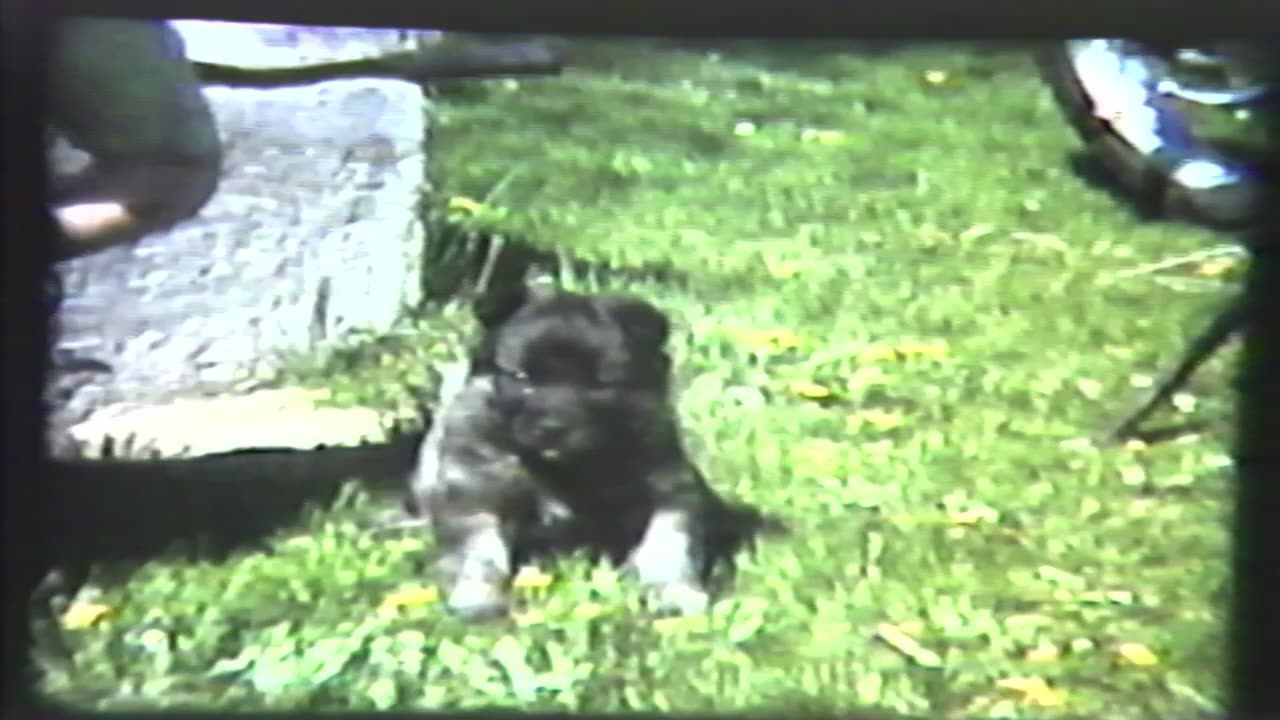 GRANDKIDS EARLY YEARS 2