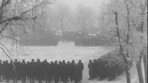 ENGINEERS BUILD SNO... - ENGINEERS BUILD SNOW FENCE, HOUFFALIZE, BELGIUM ; BASTOGNE B - 111-adc-3167