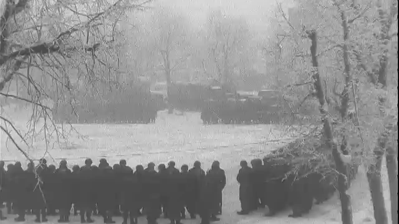 ENGINEERS BUILD SNO... - ENGINEERS BUILD SNOW FENCE, HOUFFALIZE, BELGIUM ; BASTOGNE B - 111-adc-3167