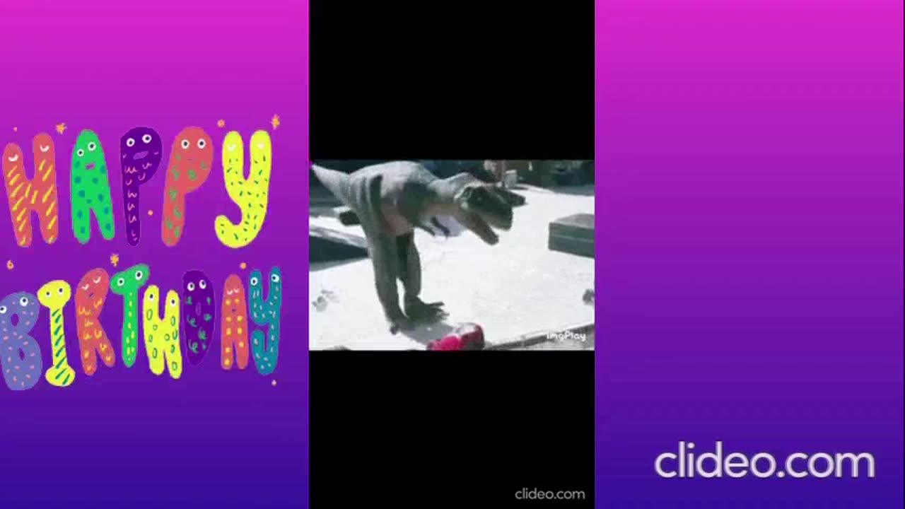 os melhores videos engraçados de animais completo